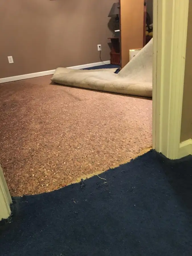 Carpet pad removal revealing water damage during Drying & Dehumidification in Roosevelt